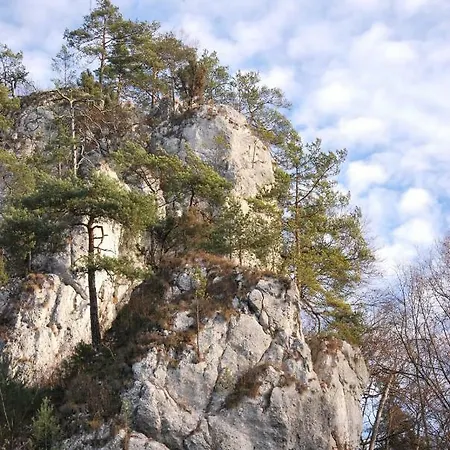 Goscinne U Grazyny Privatunterkunft