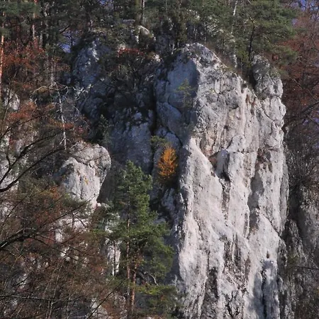 Goscinne U Grazyny Privatunterkunft Ojcow