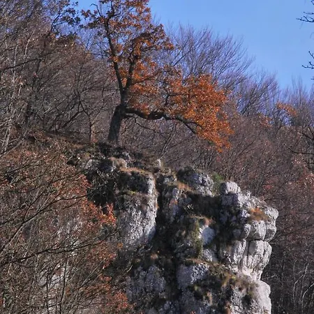 Goscinne U Grazyny Privatunterkunft Ojcow