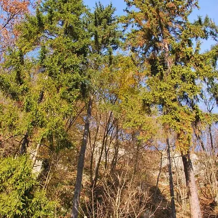 Goscinne U Grazyny *