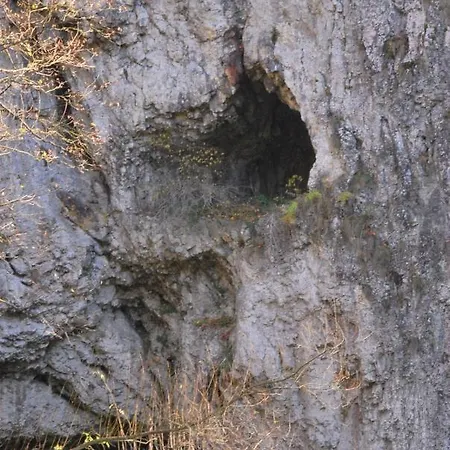 Goscinne U Grazyny Privatunterkunft Ojcow