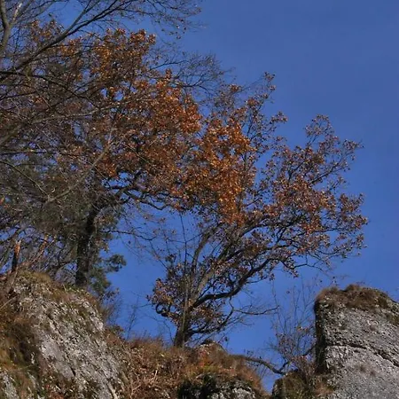Gościnne U Grażyny