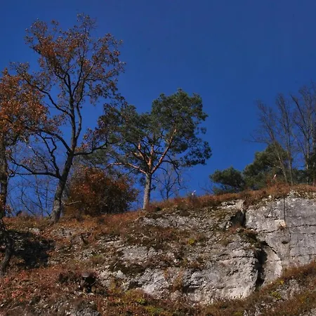 Goscinne U Grazyny Ojcow