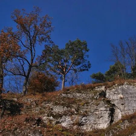 Gościnne U Grażyny Ojcow