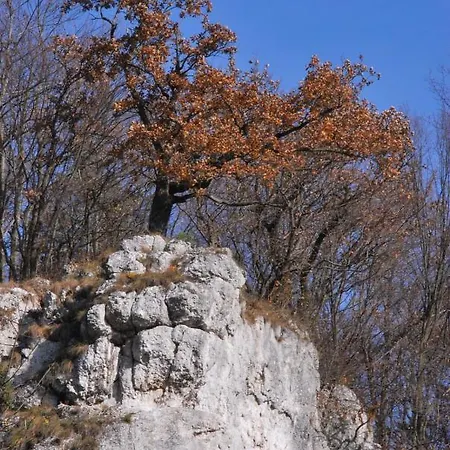 Goscinne U Grazyny *