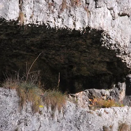 Goscinne U Grazyny Privatunterkunft *