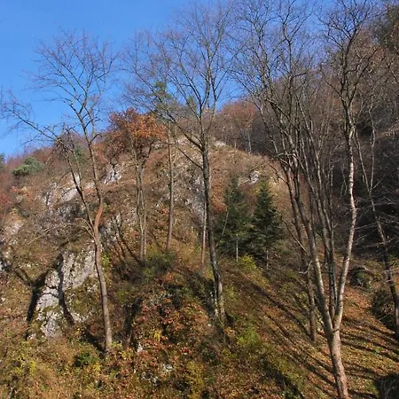 Goscinne U Grazyny Ojcow