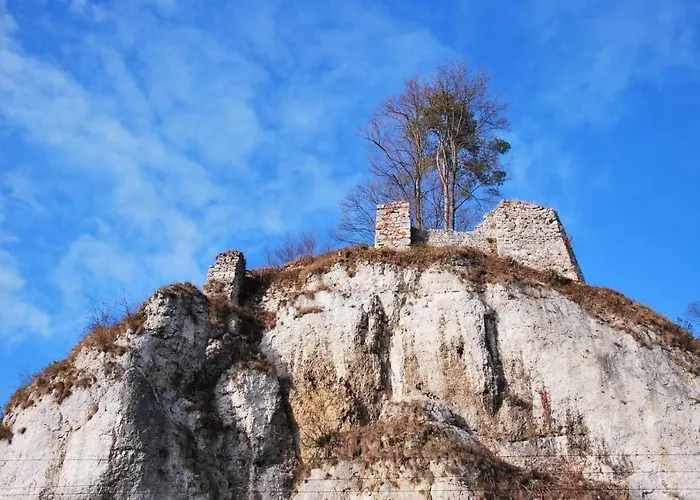 Gościnne U Grażyny Kwatera prywatna Ojcow