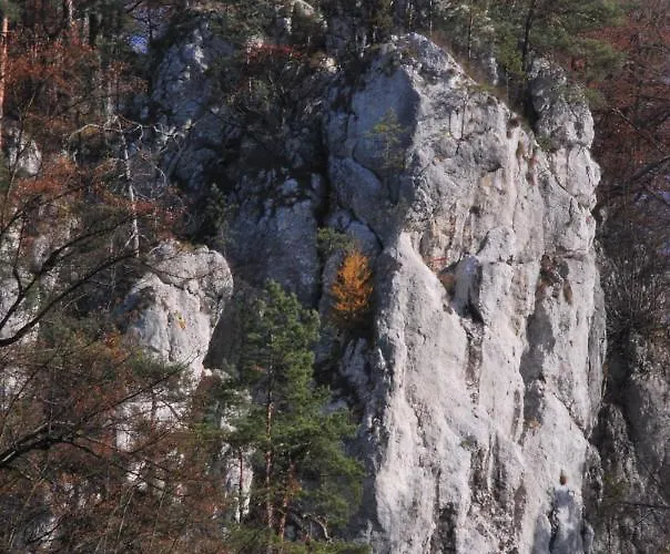 Gościnne U Grażyny Kwatera prywatna Ojcow