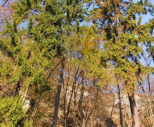 Gościnne U Grażyny *