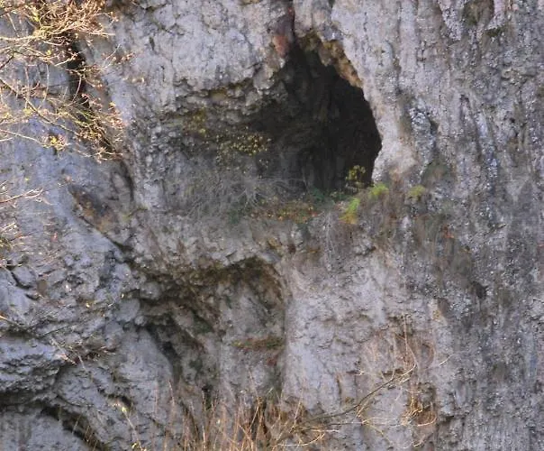 Gościnne U Grażyny Kwatera prywatna Ojcow