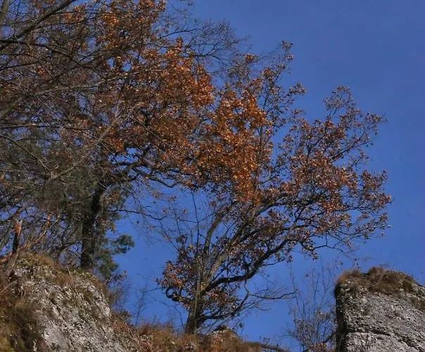 Gościnne U Grażyny
