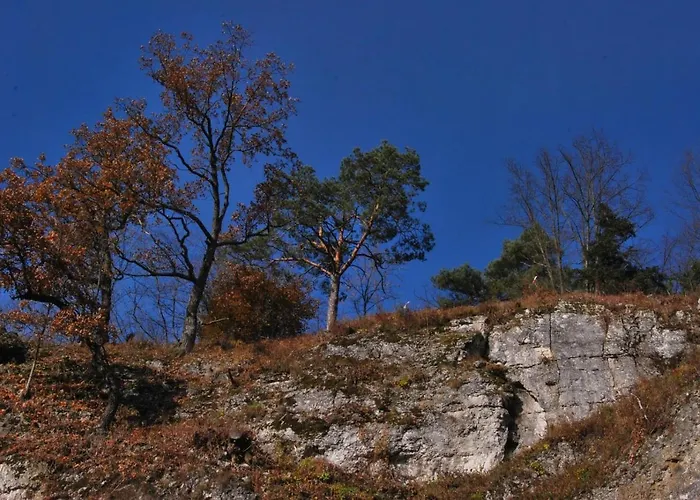 Gościnne U Grażyny Ojcow