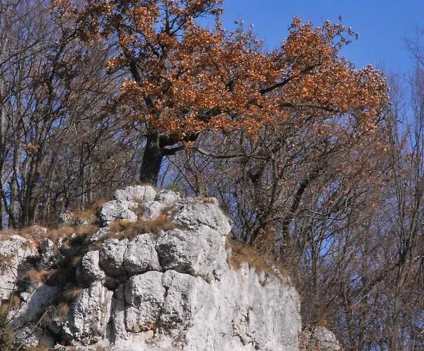 Gościnne U Grażyny *