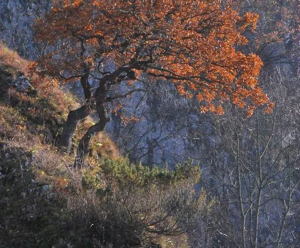 Kwatera prywatna Gościnne U Grażyny *