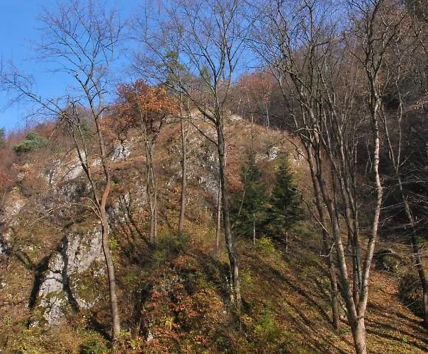 Gościnne U Grażyny Ojcow